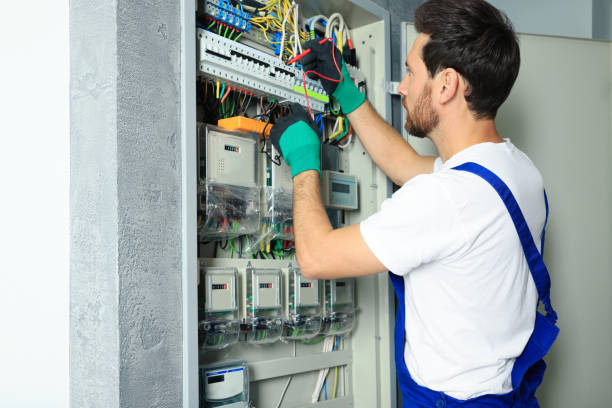 Best Electric Panel Repair  in Shingle Springs, CA